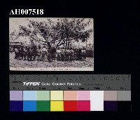 藏品(原住民風俗明信片：阿美族男子儀式歌舞)的圖片